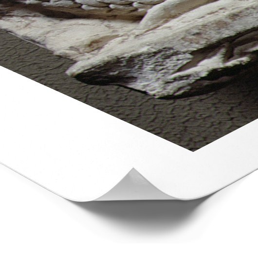 Die Geburt der Venus (Kalkstein) Poster (Ecke)