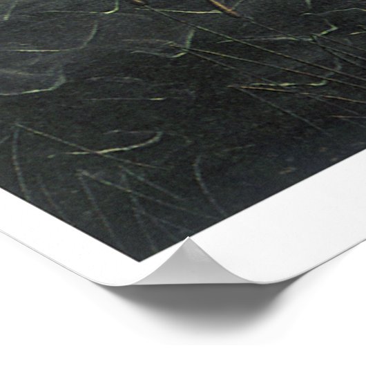 Die Geburt der Venus Poster (Ecke)