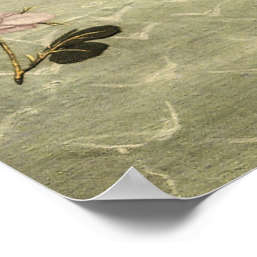 Die Geburt der Venus von Sandro Botticelli Poster (Ecke)