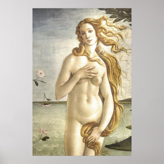 Die Geburt der Venus von Sandro Botticelli Poster (Vorne)