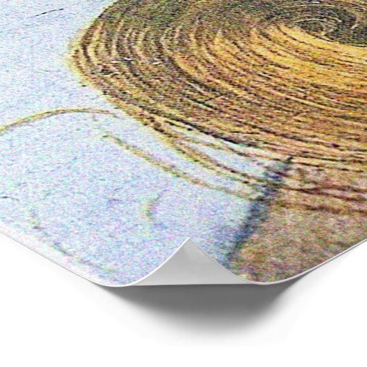 Die Geburt der Venus von Sandro Botticelli Poster (Ecke)