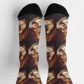 Die Geburt Jesu Christi Socken (Oben)
