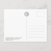 Die Geburtskarte des Weißen Kaninchens CC0240 Postkarte (Rückseite)