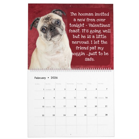 Die Gedanken meines Mops-Kalenders Kalender (Feb 2026)