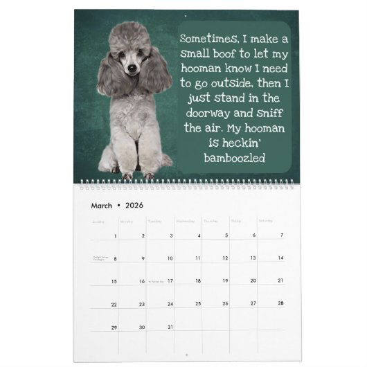 Die Gedanken meines Poodle-Kalenders Kalender (Mär 2026)