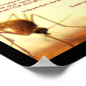 Die Gefahren von Wolbachia durch RoseWrites Poster (Ecke)