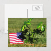 Die gefallenen postkarte (Vorne/Hinten)