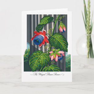 Die geflügelte Passionsblume Botanische Kunst Karte