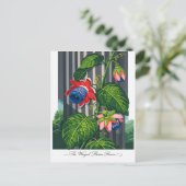 Die geflügelte Passionsblume Botanische Kunst Postkarte (Stehend Vorderseite)