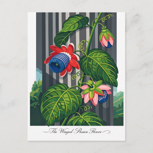 Die geflügelte Passionsblume Botanische Kunst Postkarte (Vorderseite)