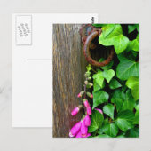 DIE GEHEIMTÜR POSTKARTE (Vorne/Hinten)