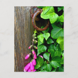 DIE GEHEIMTÜR POSTKARTE