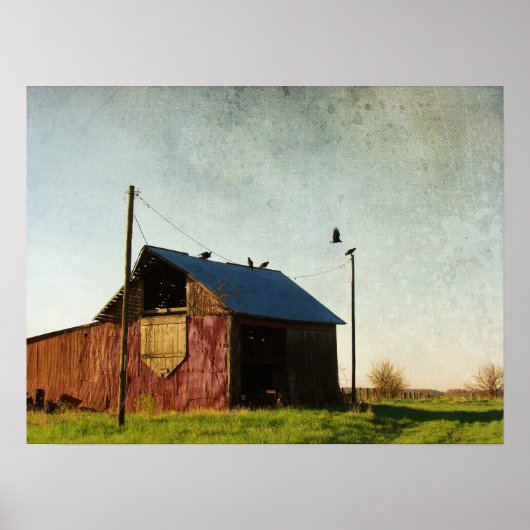 Die Geier und der Stall Poster (Vorne)