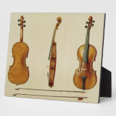 Die Geige Hellier von Antonio Stradivarius (c) Fotoplatte (Seite)