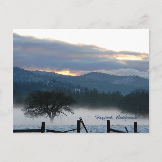 Die Geister erwachen...... Postkarte (Vorderseite)