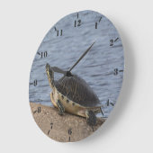 Die Gelbbelag-Schildkröte Große Wanduhr (Winkel)
