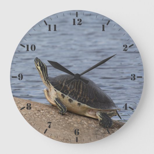 Die Gelbbelag-Schildkröte Große Wanduhr (Vorderseite)