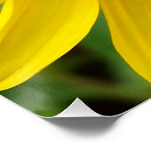 die gelben Herbstblumen Poster (Ecke)