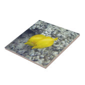 Die gelben Tang-Fische Fliese (Seite)