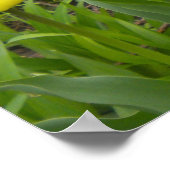 Die gelben Tulpen Poster (Ecke)
