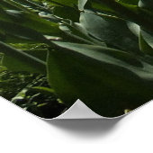 Die gelben und Lila Tulpen Poster (Ecke)