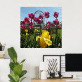 Die gelben und Lila Tulpen Poster (Heimbüro)
