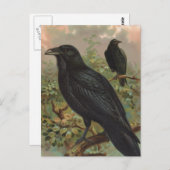 Die gemeinsame Vintage Vogeldarstellung Raven Postkarte (Vorne/Hinten)
