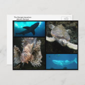 Die Georgia Aquarium Collage Postkarte (Vorne/Hinten)