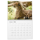 Die Geparden (Acinonyx Jubatus) Kalender (Jan 2026)