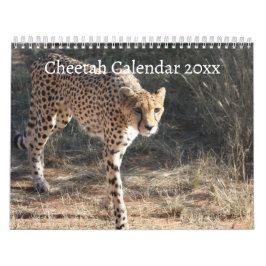 Die Geparden (Acinonyx Jubatus) Kalender