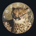 Die Geparden Große Wanduhr<br><div class="desc">Schönes Foto in der Nähe eines ruhigen Geparden.</div>