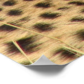 Die Geparden Poster (Ecke)