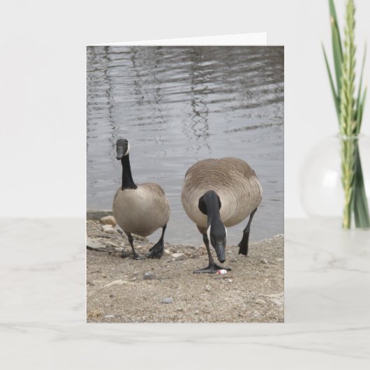 Die gerade zwei von uns feiertagskarte (Vorderseite)