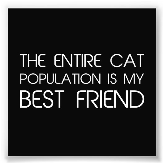 Die gesamte Katzenbevölkerung ist mein bester Freu Fotodruck (Vorne)