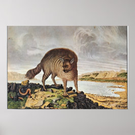 ‚Die gestreifte Hyäne‘ Poster