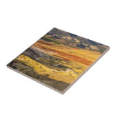 Die gestrichenen Hügel in den John Day Fossil Bett Fliese (Seite)