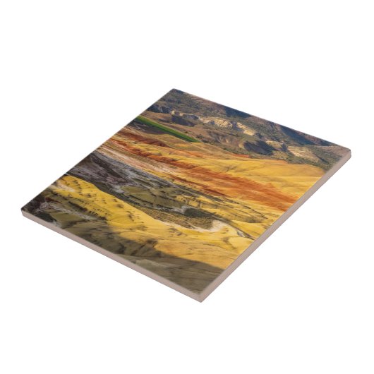 Die gestrichenen Hügel in den John Day Fossil Bett Fliese (Seite)