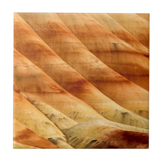 Die gestrichenen Hügel in den John Day Fossil Bett Fliese (Vorderseite)