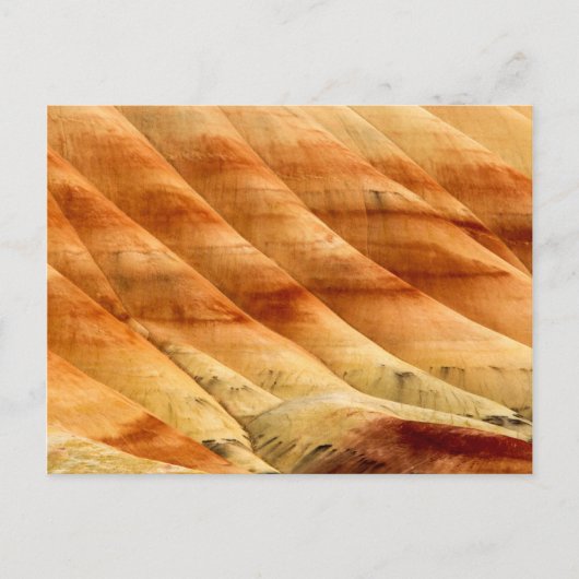 Die gestrichenen Hügel in den John Day Fossil Bett Postkarte (Vorderseite)