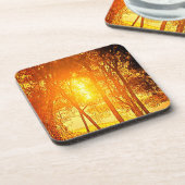 Die Getränke-Coaster Sun und Bäume Getränkeuntersetzer (Linke Seite)