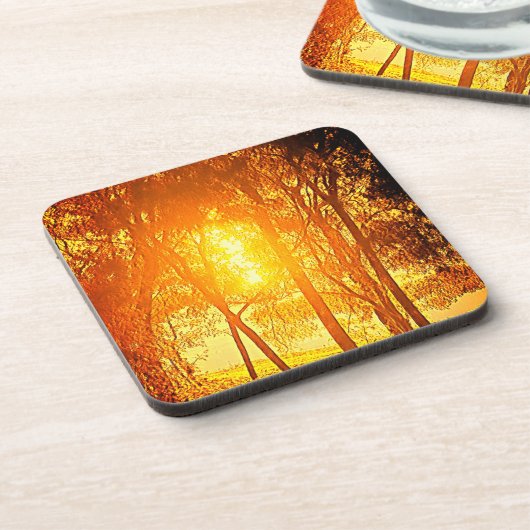 Die Getränke-Coaster Sun und Bäume Getränkeuntersetzer (Linke Seite)