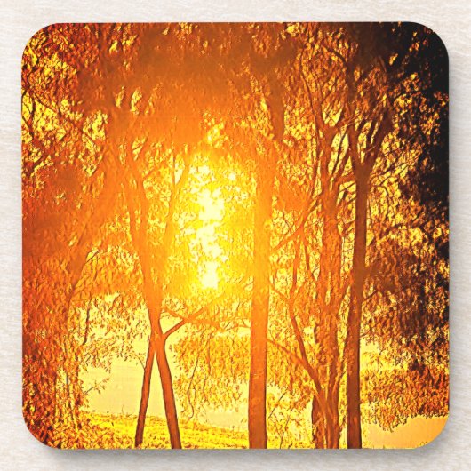 Die Getränke-Coaster Sun und Bäume Getränkeuntersetzer (Vorderseite)