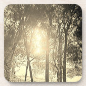 Die Getränke-Coaster Sun und Bäume Getränkeuntersetzer (Vorderseite)