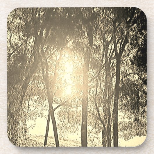 Die Getränke-Coaster Sun und Bäume Getränkeuntersetzer (Vorderseite)