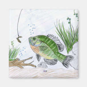 Die gewinnende Grafik der Kinder: Sonnenfisch Magnet