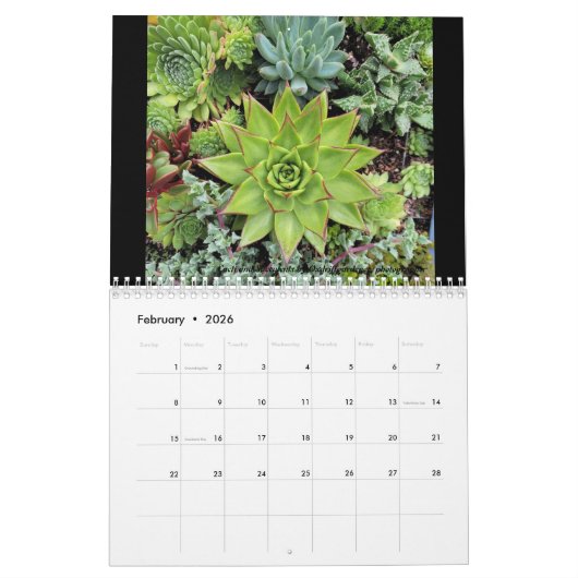 Die Gewinner des Dave's Garden Foto Contest 2024 Kalender (Feb 2026)