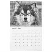 Die Gewinner des Dave's Garden Foto Contest 2024 Kalender (Jan 2026)