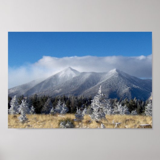 Die Gipfel von San Francisco in der feinen Coate v Poster (Vorne)