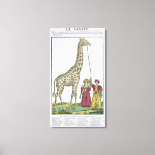 Die Giraffe dargestellt dem König Leinwanddruck