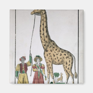 Die Giraffe dargestellt König vom Pasha von Magnet
